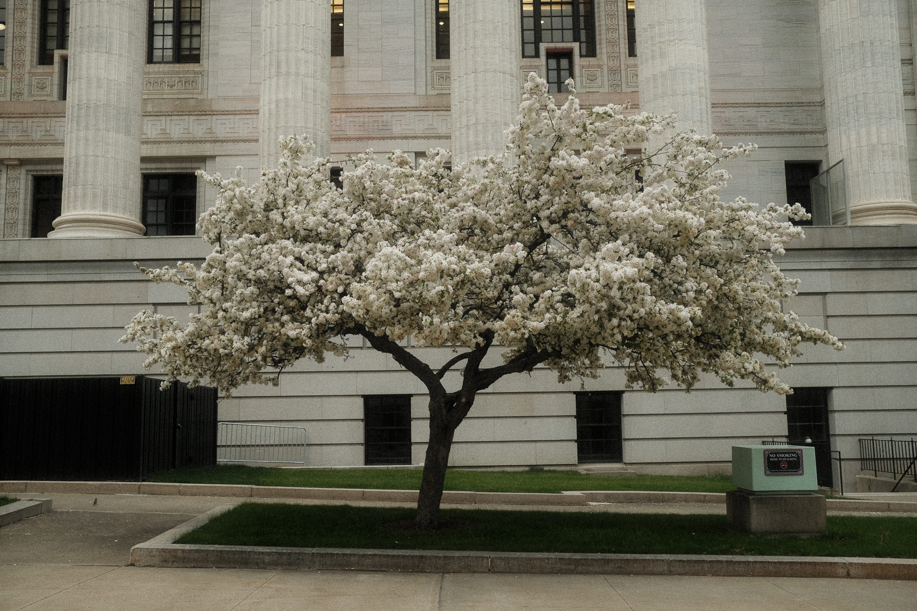 Quality Events For This Weekend Keep Albany Boring quality-events-for-this-weekend-keep-albany-boring