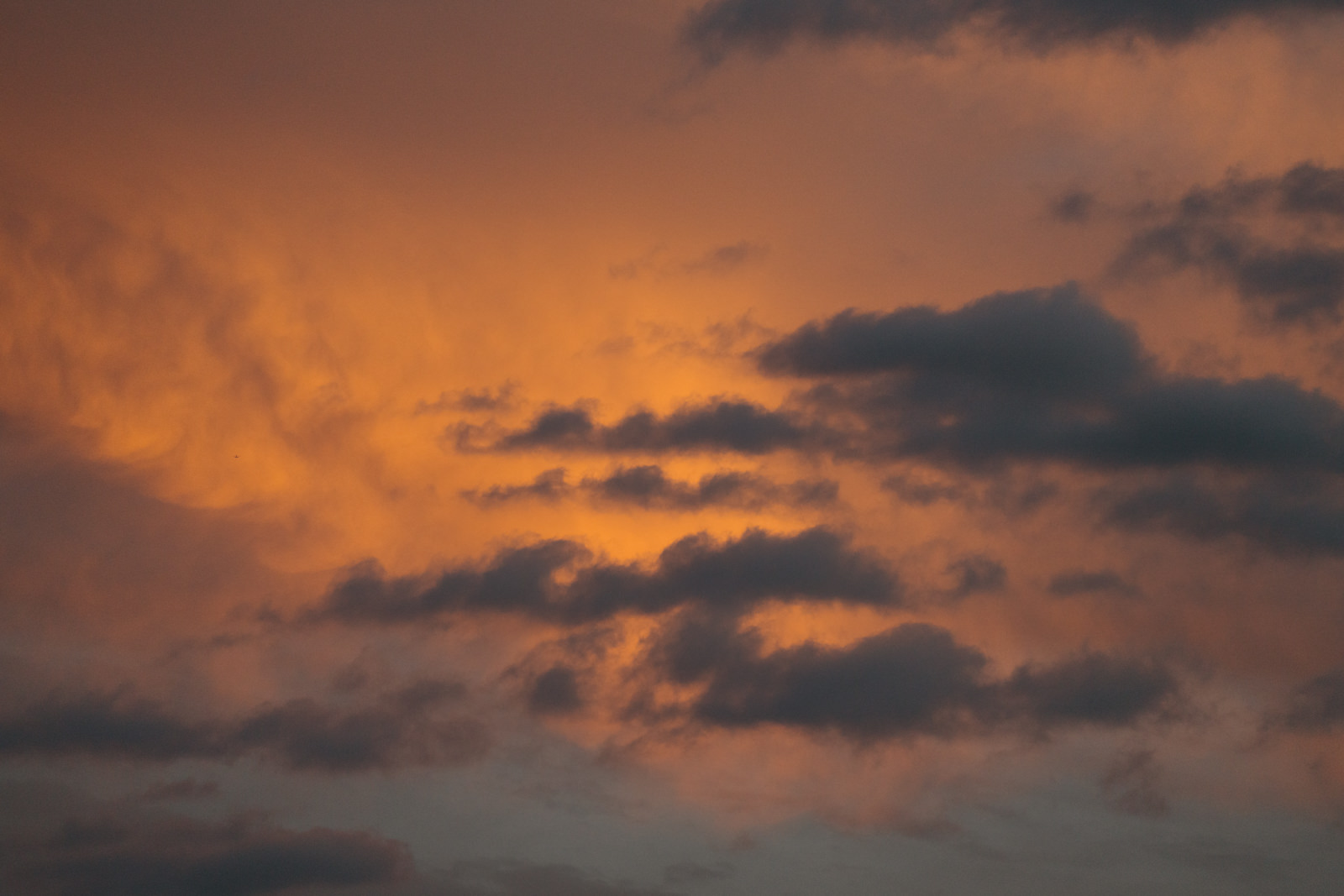 Quality events for this weekend - Keep Albany Boring